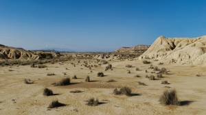 Noémy SMECICAS - SMECICAS NOEMY