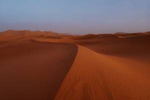 Noémy SMECICAS - SMECICAS NOEMY